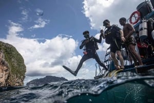 Pattaya: Snorkeling ou mergulho para iniciantes com almoço