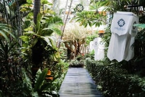 Pattaya: Spa Experience at Oasis Spa