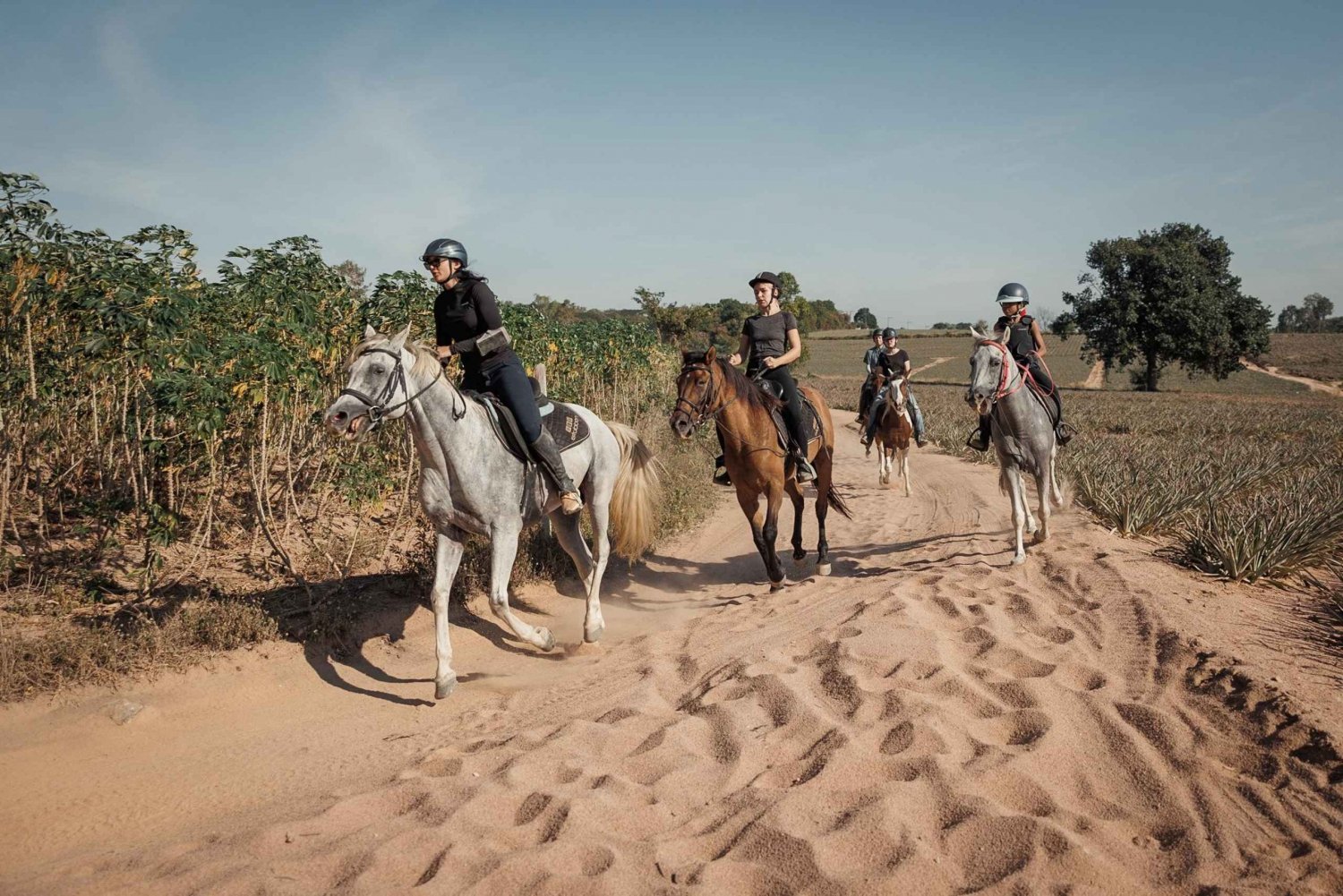 Pattaya, Thailand: Upplev naturskön ridning på hästled