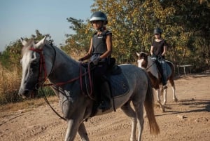 Pattaya, Thailand: Experience Scenic Horse Trail Riding