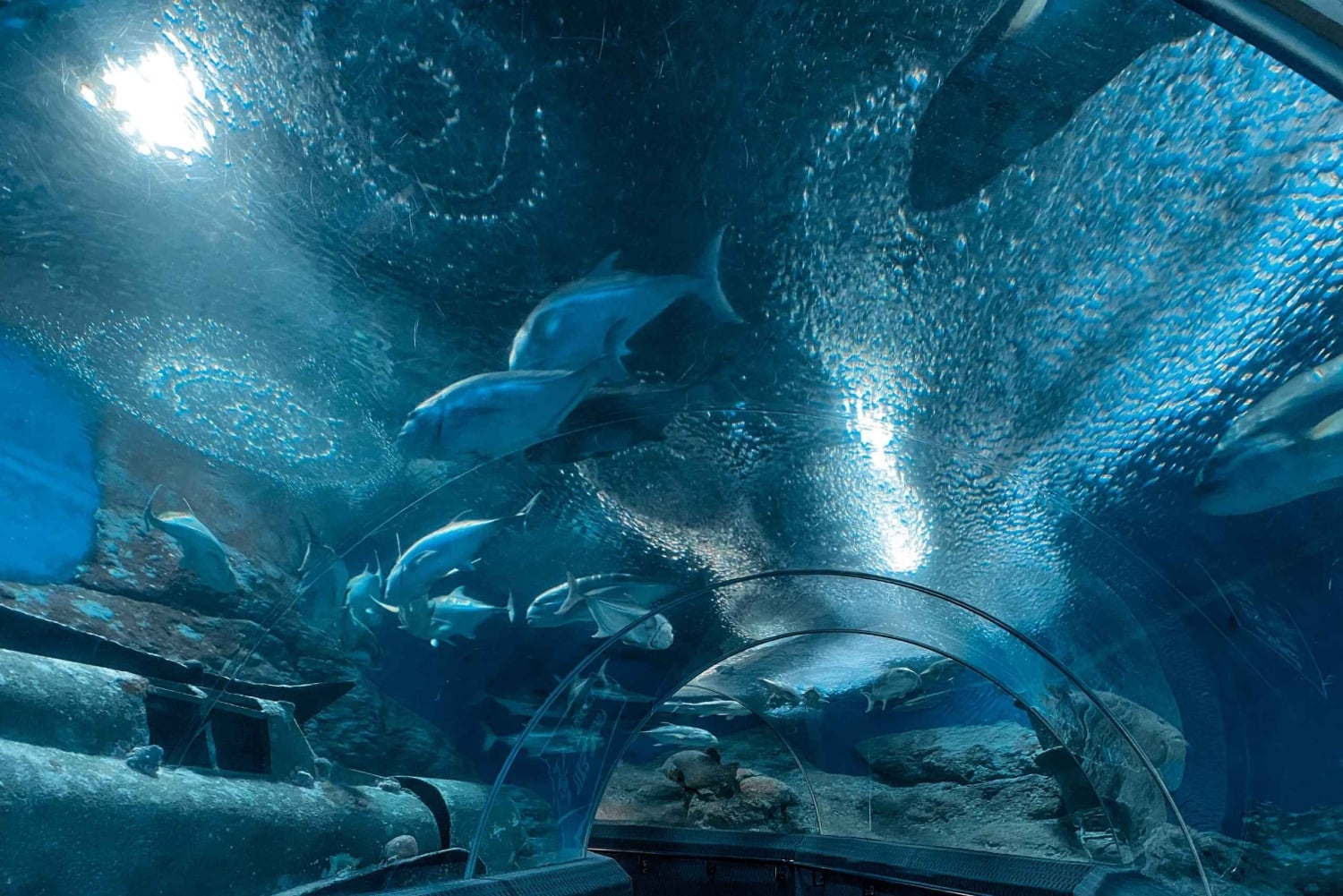 Pattaya: Underwater World Pattaya Aquarium Admission Ticket