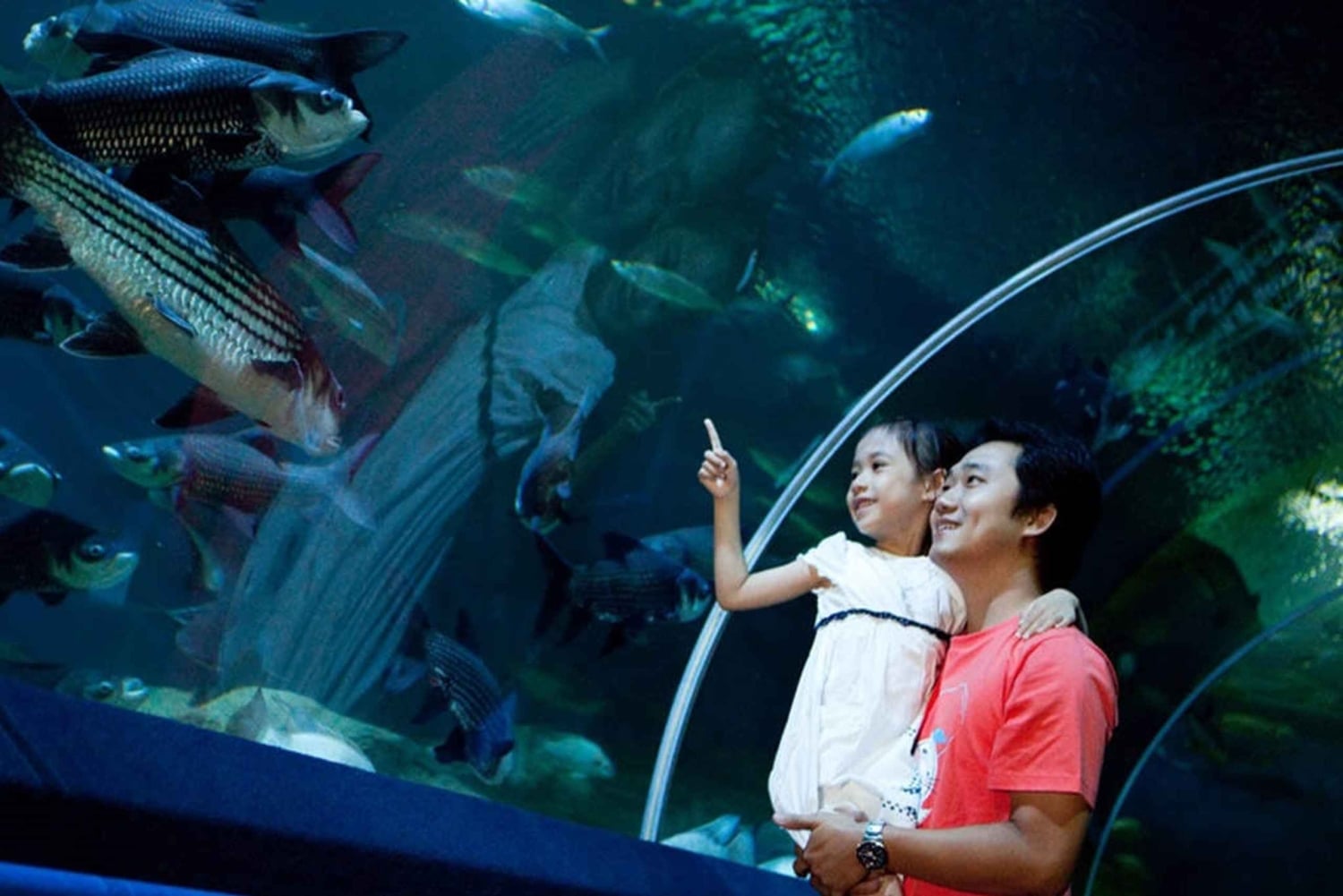 Pattaya: Underwater World Pattaya Aquarium Admission Ticket