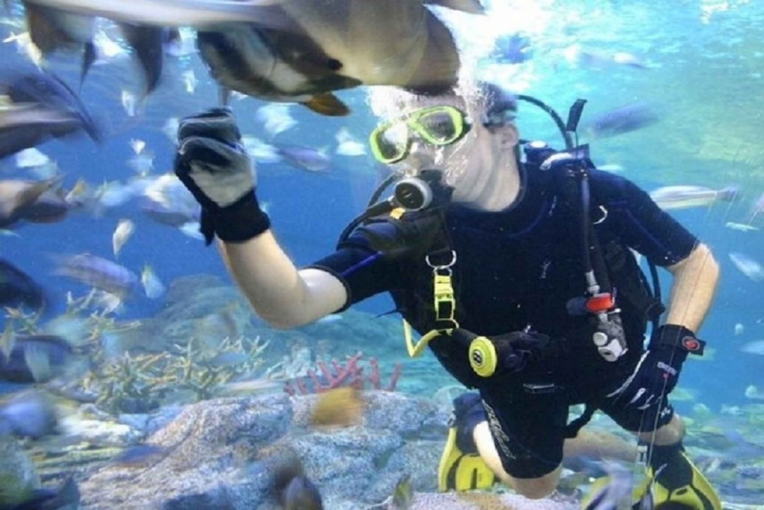 Pattaya: Underwater World Pattaya Aquarium Admission Ticket