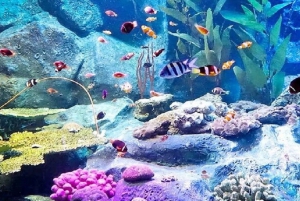 Pattaya: Underwater World Pattaya Aquarium Admission Ticket