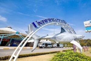 Pattaya: Underwater World Pattaya Aquarium Admission Ticket