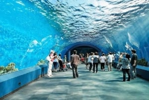 Pattaya: Underwater World Pattaya Aquarium Admission Ticket