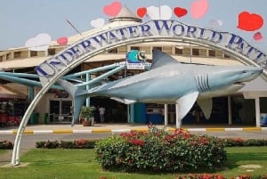 Pattaya: Underwater World Pattaya Aquarium Admission Ticket