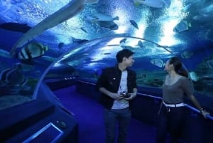 Pattaya: Underwater World Pattaya Aquarium Admission Ticket