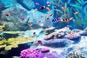 Pattaya: Underwater World Pattaya Aquarium Admission Ticket