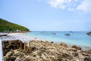 Pattaya's Coral Island Specialists Local Experts