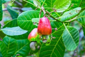 Phuket: Chalongin yksityinen opastettu kierros.