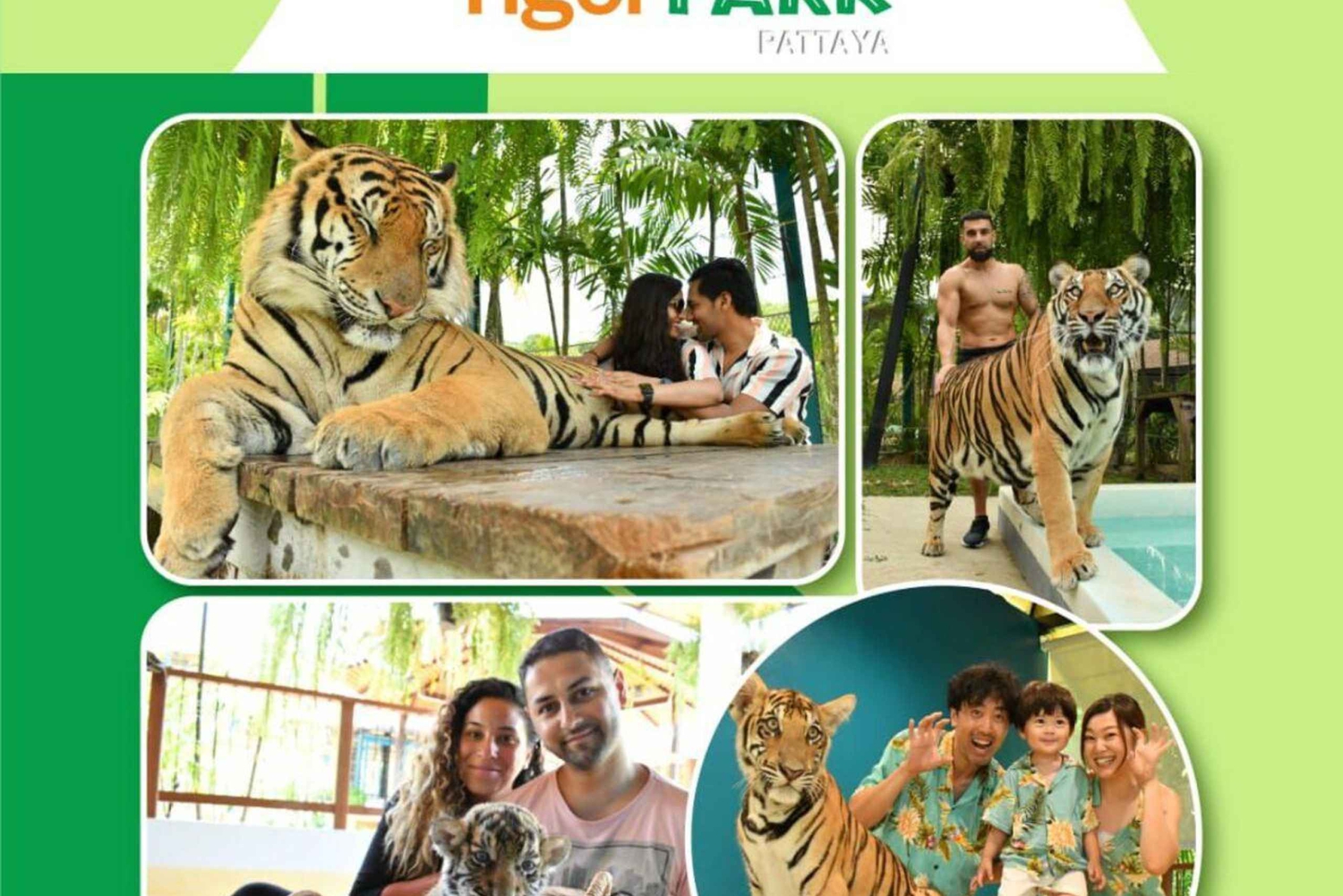 Pattaya Full Day Tour — City tour & Top Sights