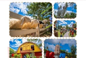 Pattaya Full Day Tour — City tour & Top Sights