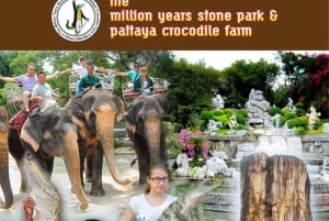 Pattaya Full Day Tour — City tour & Top Sights