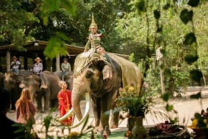 Trasferimento privato da Bangkok e Pattaya | Thailandia