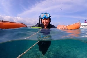 Samaesarn : Finn Nemo-tur med privat hurtigbåt