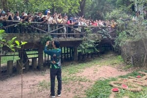 Pattaya: Trasferimento allo zoo aperto di Khao Kheow