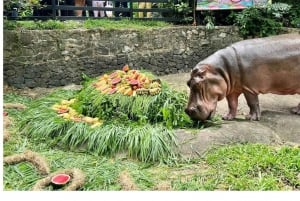 Pattaya: Trasferimento allo zoo aperto di Khao Kheow