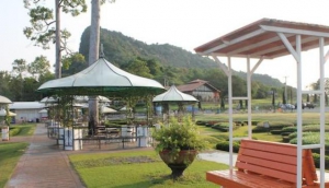 Silver Lake Vineyard