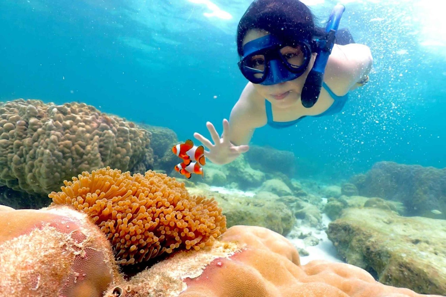 Snorkling och chill: Nemo Island-tur från Pattaya