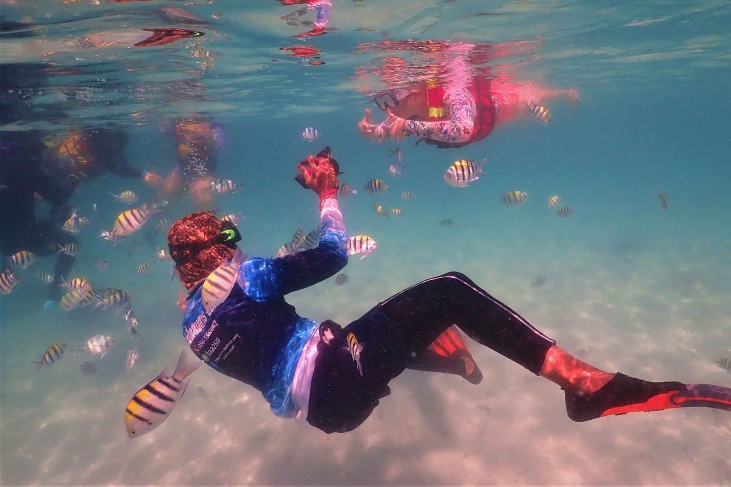 Snorkling och chill: Nemo Island-tur från Pattaya