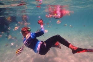 Snorkling och chill: Nemo Island-tur från Pattaya