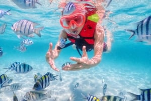 Snorkling och chill: Nemo Island-tur från Pattaya