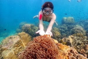 Snorkling och chill: Nemo Island-tur från Pattaya