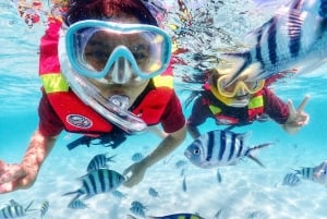 Snorkling och chill: Nemo Island-tur från Pattaya