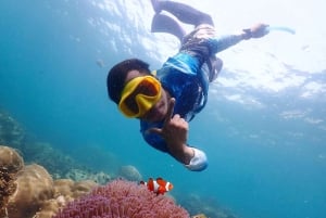 Snorkling och chill: Nemo Island-tur från Pattaya