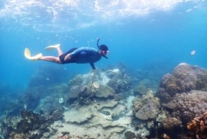 Esperienza di snorkeling di un giorno intero da Bangkok