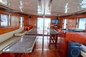 Solo Sunset Party: Meet, Mingle & Celebrate in Pattaya