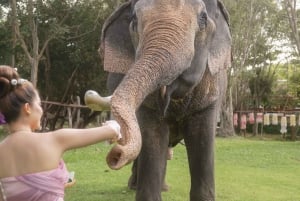 タイタニ文化村:タイの伝統文化に浸る一日をお楽しみください