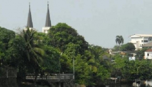The Cathedral of the Immaculate Conception
