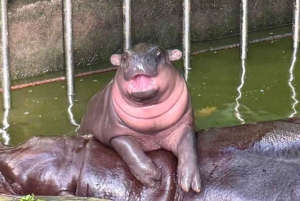 Трансфер в открытый зоопарк Кхао Кхео