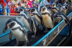 Трансфер в открытый зоопарк Кхао Кхео