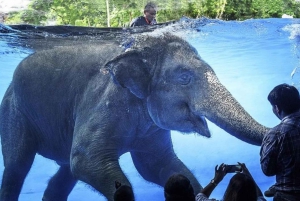 Трансфер в открытый зоопарк Кхао Кхео