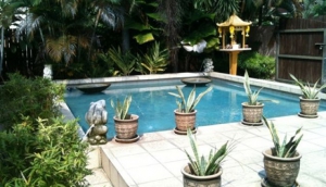 Ardour Spa