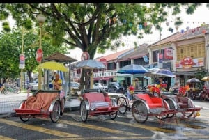 Penang: Spennende lokal halvdagstur på øya Penang/5 timer
