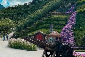 Da Penang: tour privato di un giorno alle Cameron Highlands