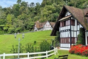 Da Penang: tour privato di un giorno alle Cameron Highlands