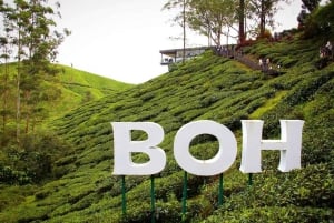 Da Penang: tour privato di un giorno alle Cameron Highlands