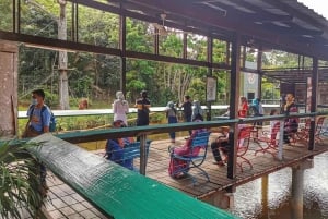 ペナン発：タイピンプライベート日帰りツアー