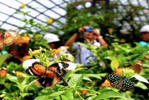 George Town: 'Entopia by Penang Butterfly Farm' Entry Ticket