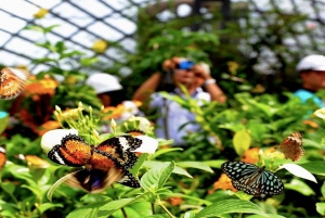 George Town: Entopia by Penang Butterfly Farm Entry Ticket