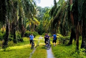 La campagna malese in bicicletta