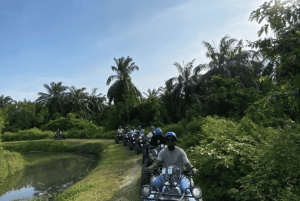 Penang: ATV-tocht in Balik Pulau met snacks en transfers