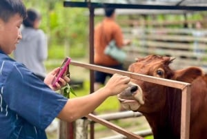 Penang: Balik Pulau Batik Painting & Mini Zoo Petting