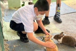 Penang: Balik Pulau Batik Painting & Mini Zoo Petting