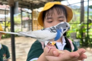 Penang: Balik Pulau Batik Painting & Mini Zoo Petting